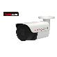 full image IP Network Camera (Coaxia Series)