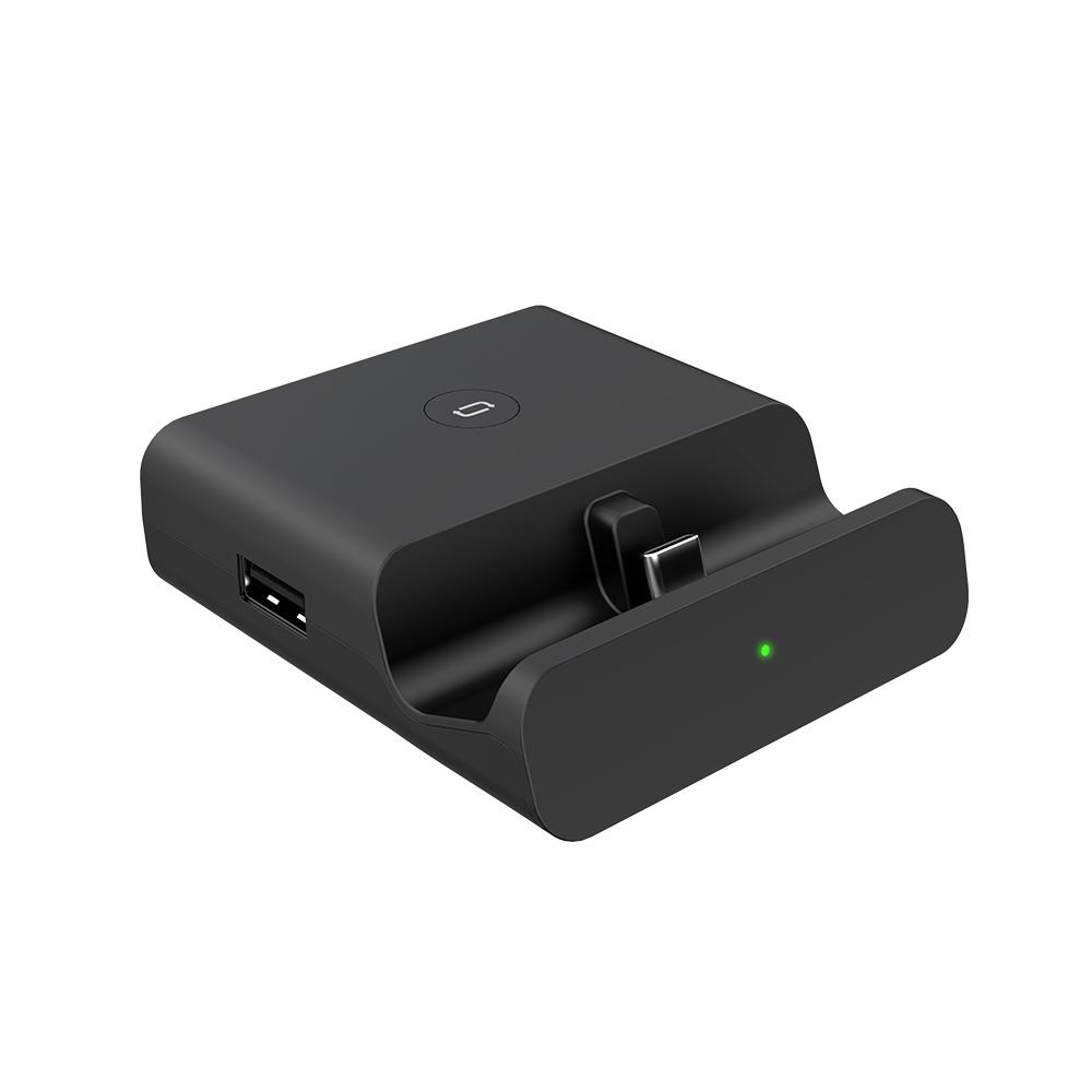 NS MINI TV DOCK
