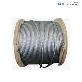 detail image4 [DSR] Wire rope