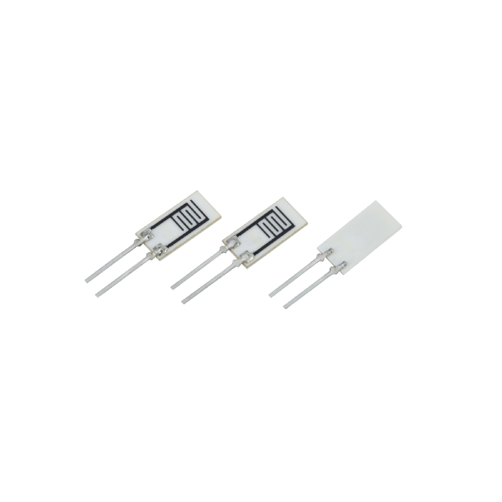Element & Case Type Resistive Humidity Sensor