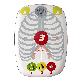 detail image1 Air Hearty: Self-Instruction CPR Training Device