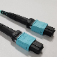 detail image1 MPO/MTP PATCH CORD
