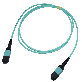 full image MPO/MTP PATCH CORD