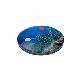 full image Korean Folk Art Crystal Magnet paperweight for refrigerator, whiteboard, home, office, gift