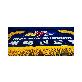 detail image2 WTF World TaeKwonDo Federation Evaluation Table Cloth Flag TKD Korea Best