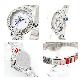 detail image1 Paul Brial diamond jewel watch