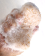 detail image3 CLEABEAR KONJAC SPONGE