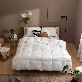 detail image3 zero o'clock goose down Comforter (signature model)