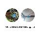 detail image1 Eco-friendly Harmful Bird Repellent Gel Type
