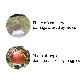detail image1 Harmful Pests and Bird Repellent