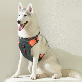 detail image3 Safe Harness for pet