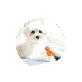 detail image4 Do you like me? ~ Carrot catch toy