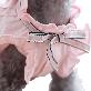 detail image3 Tint Frill blouses (Pink / L size)