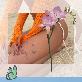 detail image3 FAKETTT - Freesia