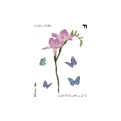 FAKETTT - Freesia