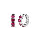 detail image1 Round Volume Ruby Earrings ( S925 )