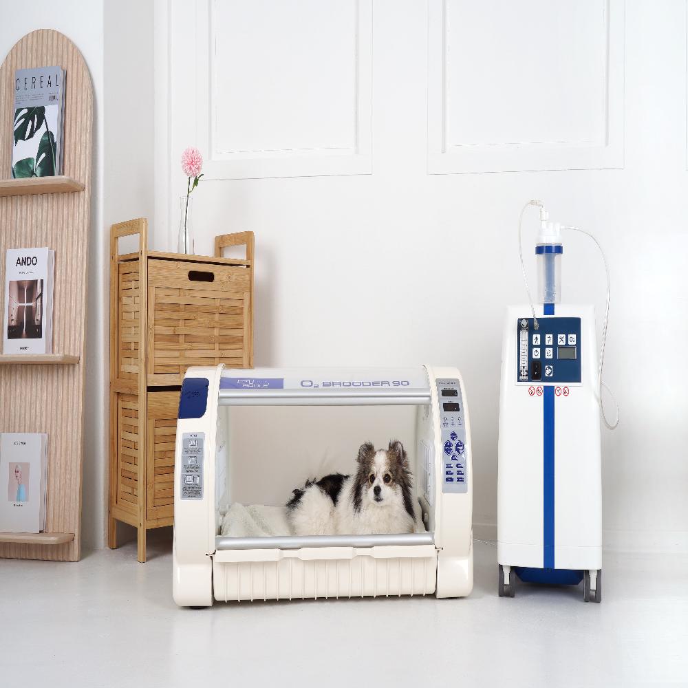 PET O2 BROODER