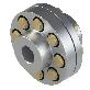 detail image1 Flange Coupling