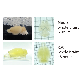 detail image1 Binaree Tissue Clearing Rapid Solution Brain