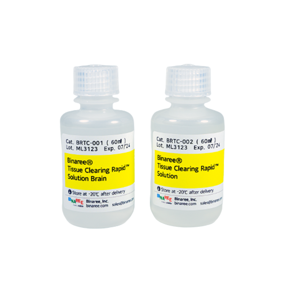 Binaree Tissue Clearing Rapid Solution Brain