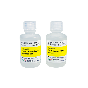 Binaree Tissue Clearing Rapid Solution