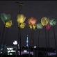 detail image2 DAEWANG King Solar Panel LED Flower Rose Set of 10 Light Lamp Battery Interior Home Decoration, Pres