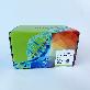 detail image3 PURE™ Fungal gDNA Extraction Kit