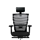 detail image2 Multi-balance T10 Chair