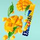 detail image3 Curcumin Power Jelly Stick