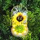 detail image2 LED lucky sunflower glass dome mood light Gift