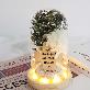 detail image5 LED horse imprinted cross flower mood lamp interlayer accessories