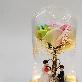 detail image3 LED Rainbow Rose Glass Dome Mood Light Anniversary Gift