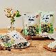 detail image5 Seaweed Tofu Snack (30g x 12ea)