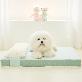 detail image2 MOONGMING Memory Foam Pet Bed for Summer/All Seasons, Comfortable Bed for Puppies and Dogs, Safe Mat