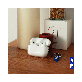 detail image3 Tanglewood Clear Jelly Case for AirPods