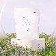detail image5 SKYMILK Capsule Laundry Detergent