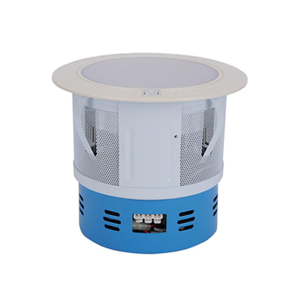Blackout Free Down Light