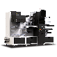 detail image1 In-house Fully Digital Inline Label Press ANY-JET II