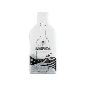 Bottle America Classic (Clear) | Jimmy the Fox Wine Travel Bag