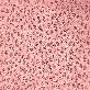 detail image1 NDS258 (Jacquard Fabric)