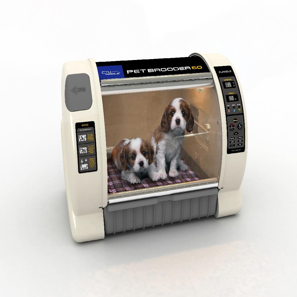 PET BROODER 60