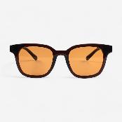 GLASSES/SUNGLASSES