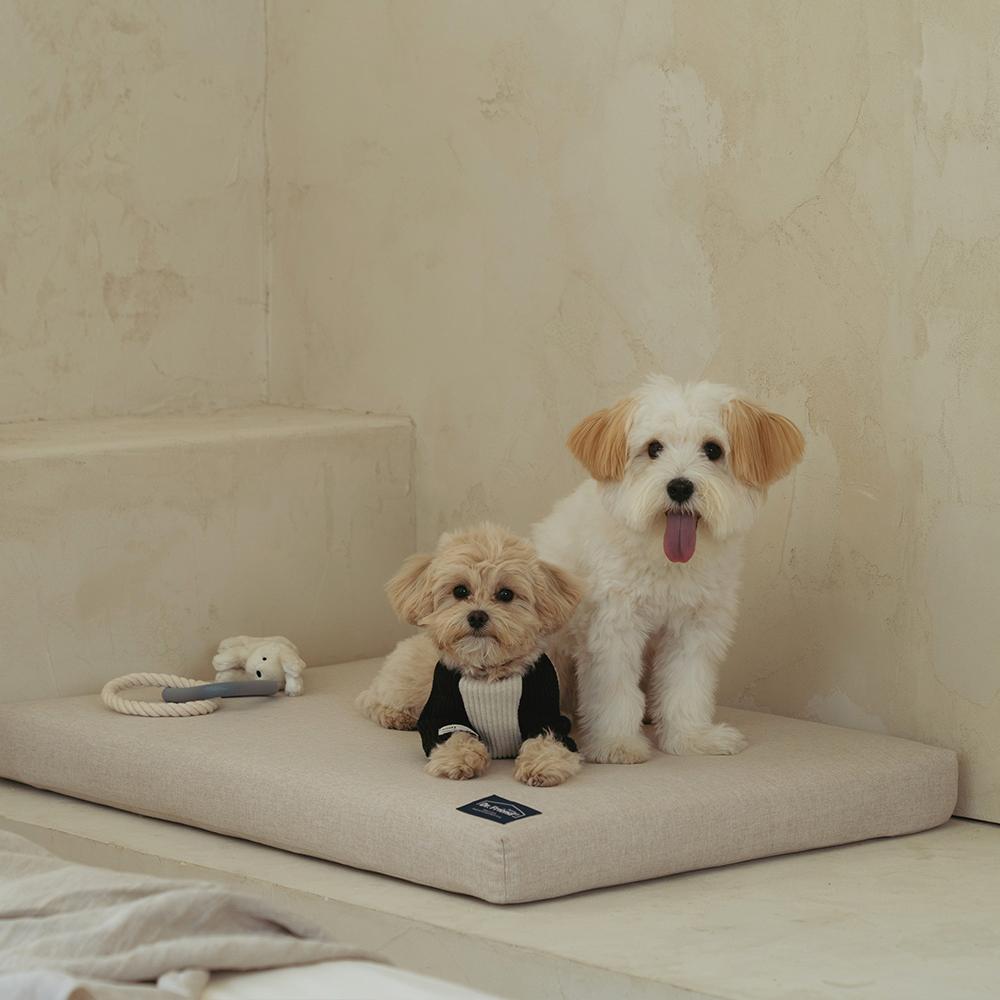 Dr.Friend Puppy Zero Electromagnetic Waves Sleep Care Bed Pad (Medium)