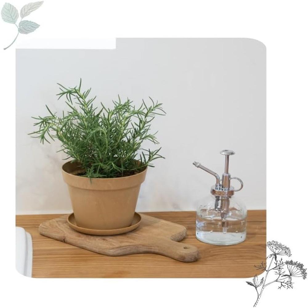 Freefactory Flower Plant Pot with Drainage Holes and Saucer Tray(Medium/Ivory)