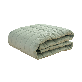 detail image1 Dr.Friend New Quilted Zero Electromagnetic Waves Bed Pad (Double / Mint)