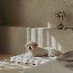 detail image5 Dr.Friend Puppy Zero Electromagnetic Waves Sleep Care Bed Pad (Large)
