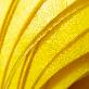 full image Natural Non-woven Golden Raw Silk Sheet