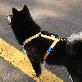 detail image5 Fit Band Harness