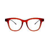 GLASSES/SUNGLASSES