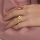 detail image1 R22 Gold [Garden of light]